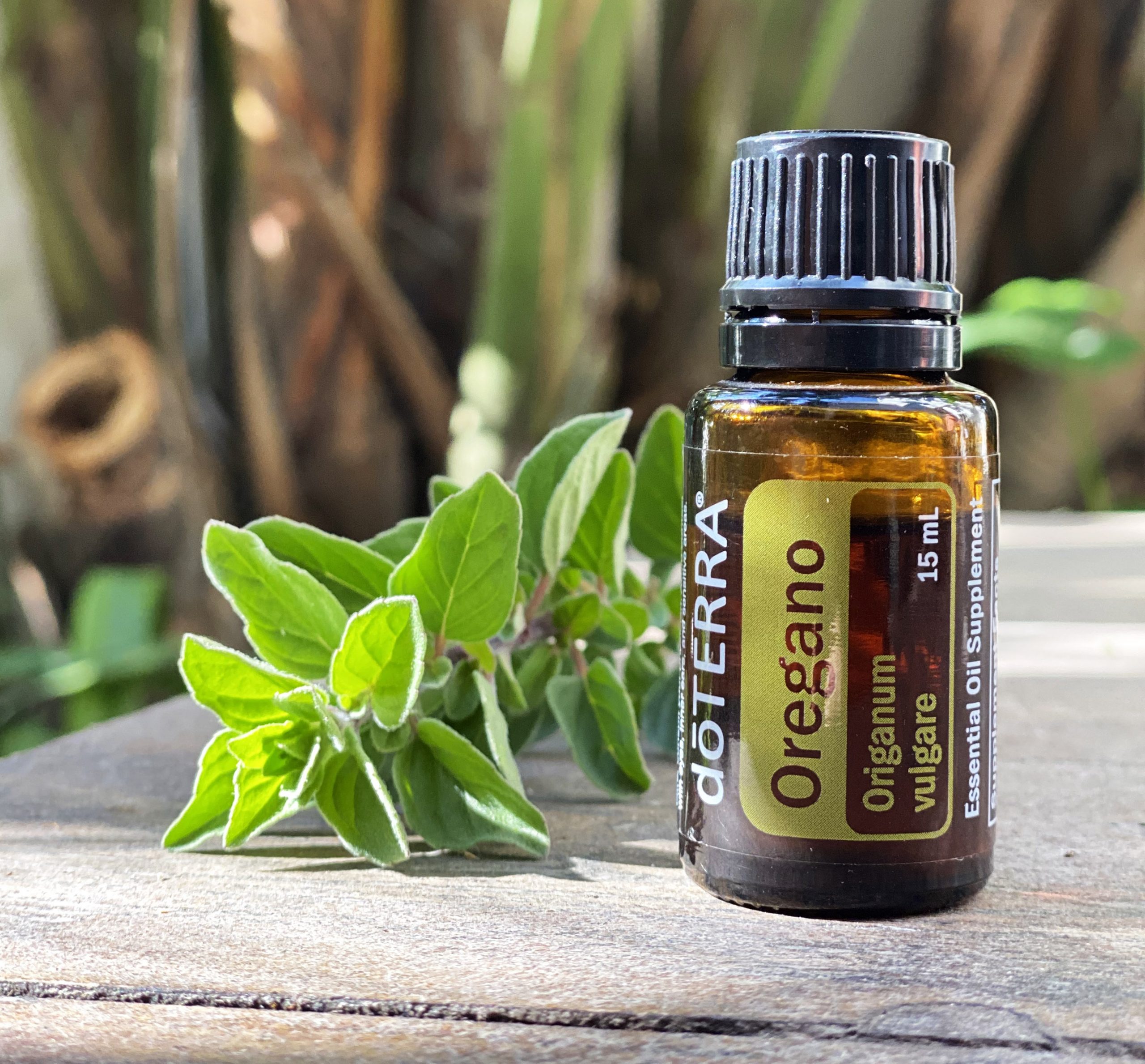 Aceite De Oregano Donde Comprar Aceite Oregano 15ml – Clara Medicina China